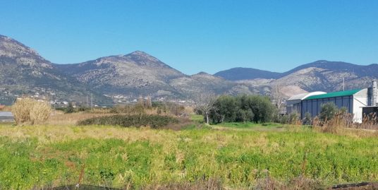 Terracina zona Ceccaccio proponiamo terreno agricolo di mq. 7.000 circa