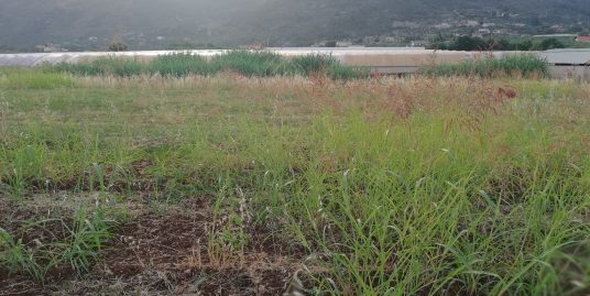 Terracina zona San Silviano proponiamo la vendita di un terreno AGRICOLO di mq. 2.200