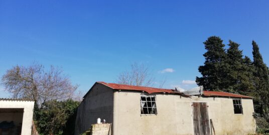 San Felice Circeo zona Pigneto proponiamo in esclusiva fabbricato categoria C/2 di mq. 176 catastali con annessa tettoia oltre corte circostante sulla quale insiste un ulteriore manufatto ad uso tettoia. La proprieta’ e’ autonoma su 1 livello da ristrutturare.