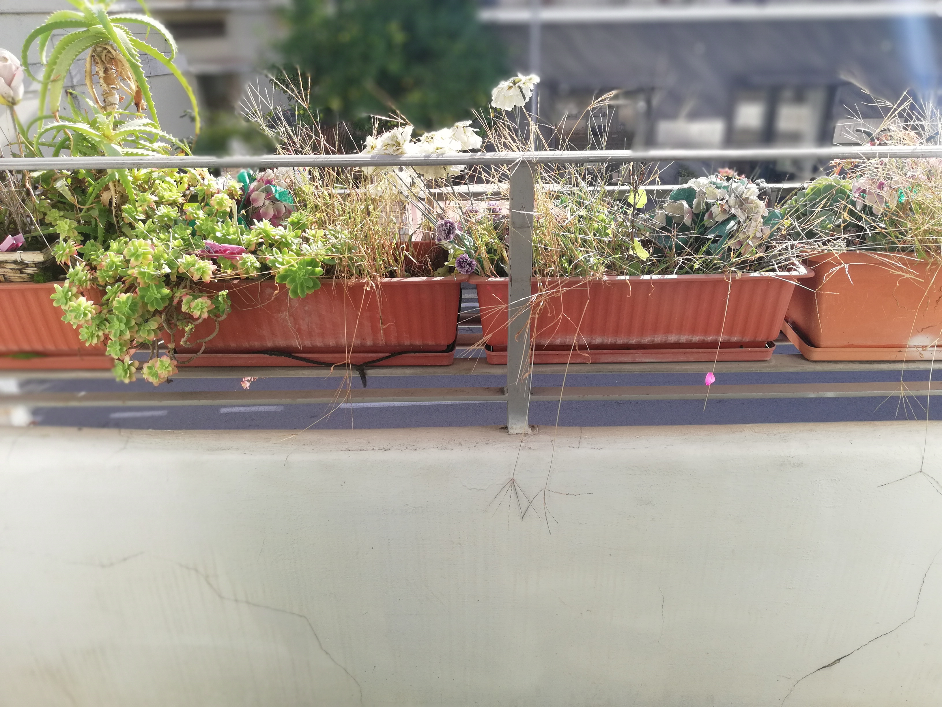 Terracina via Badino proponiamo in vendita in esclusiva appartamento di mq. 51 composto da cucina – 2 camere – bagno – balcone al piano primo – ENTRATA AUTONOMA