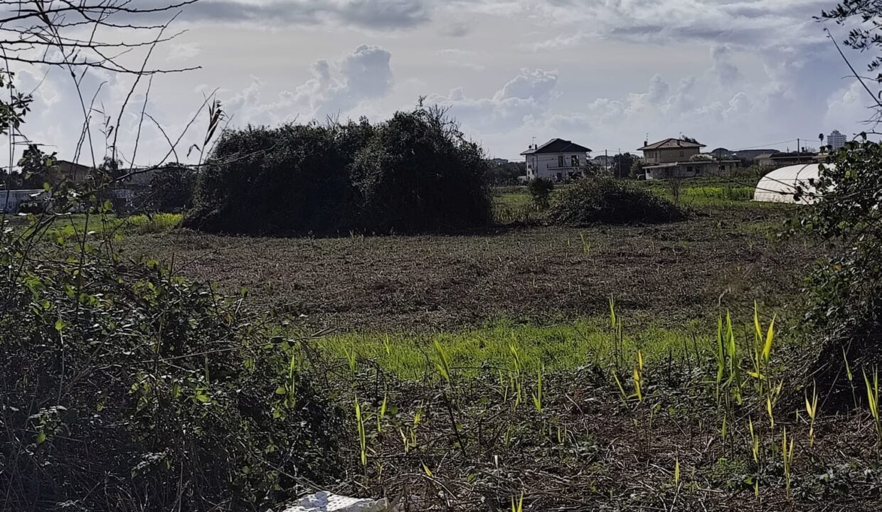 CECCACCIO 4