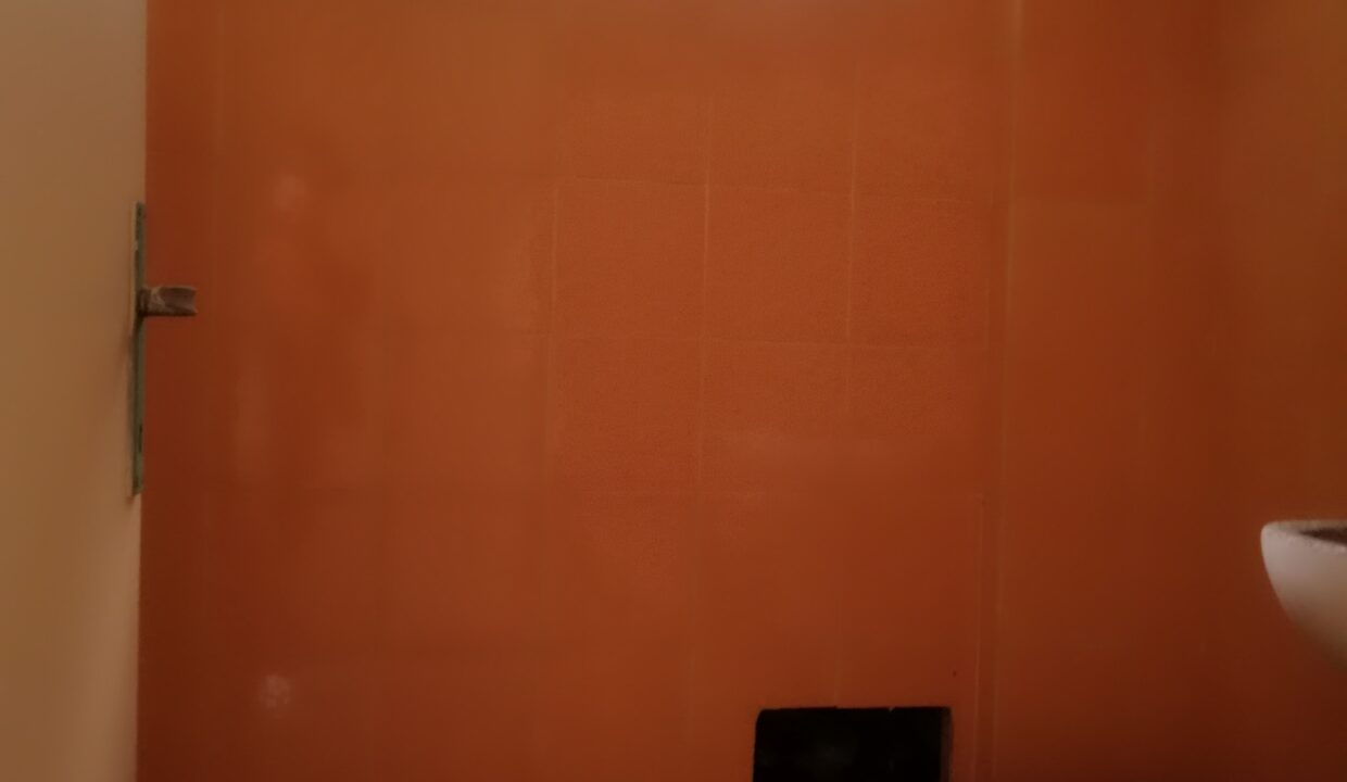 Rpt